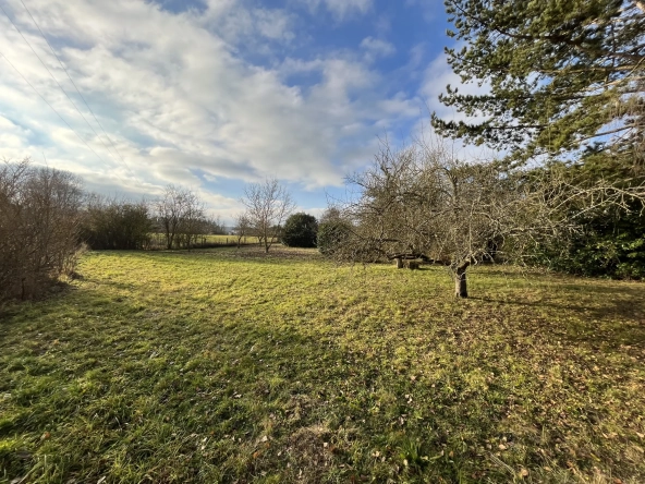 Terrain à bâtir de 14 ares à Courcelles-sur-Nied, environnement calme et résidentiel