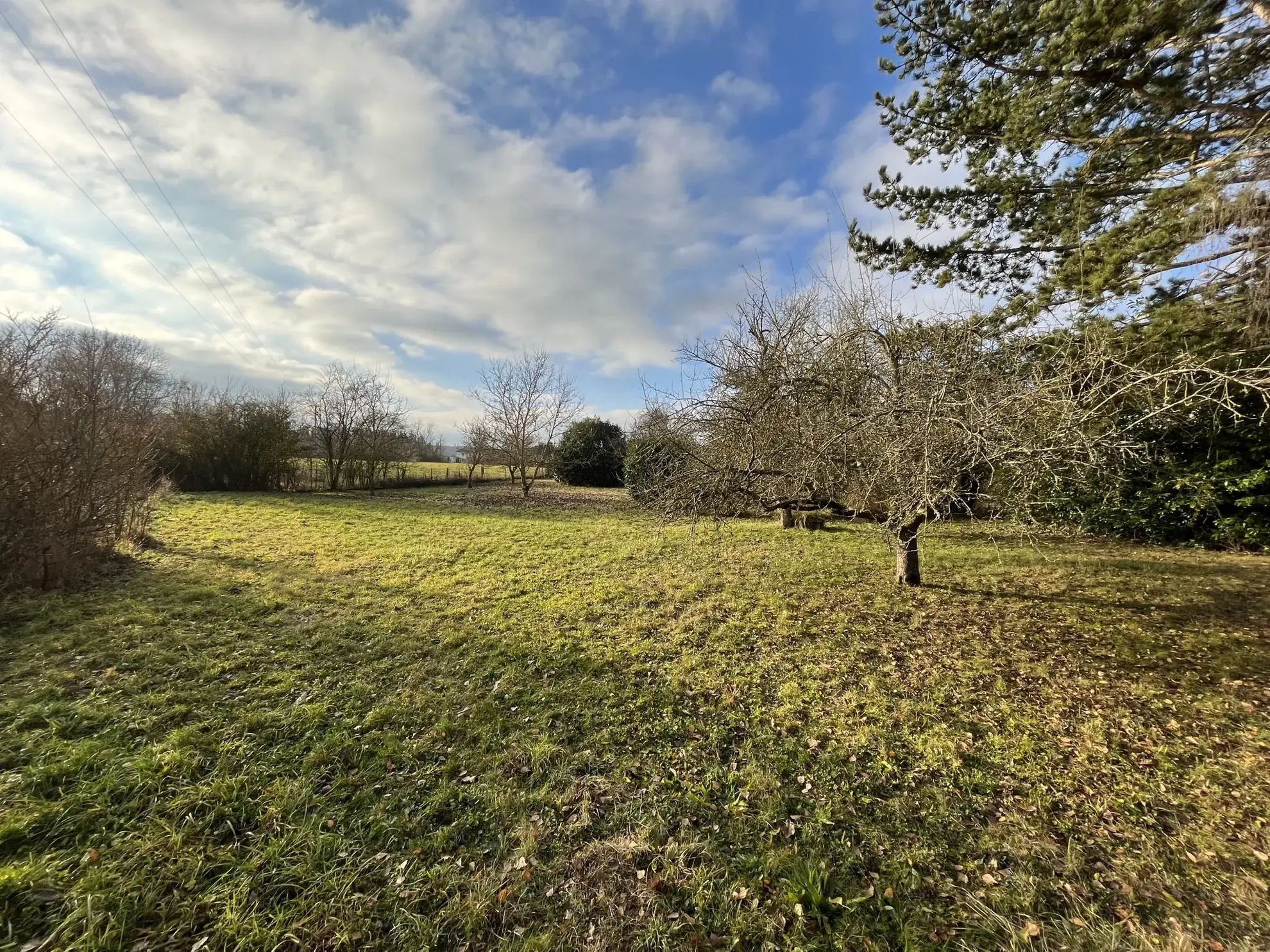 Terrain à bâtir de 14 ares à Courcelles-sur-Nied, environnement calme et résidentiel 