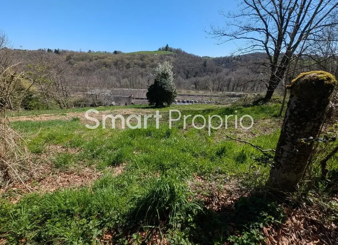 Maison spacieuse avec terrain constructible à Uzerche 