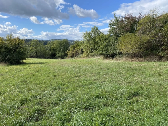 Terrain constructible de 3571 m² à Vienne, secteur Reglane – Libre constructeur et viabilisé