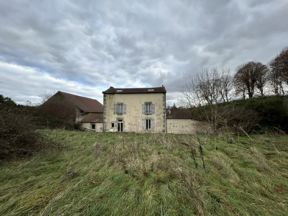 Très belle propriété avec gîte, dépendances et grandes pièces près du Morvan à Varzy