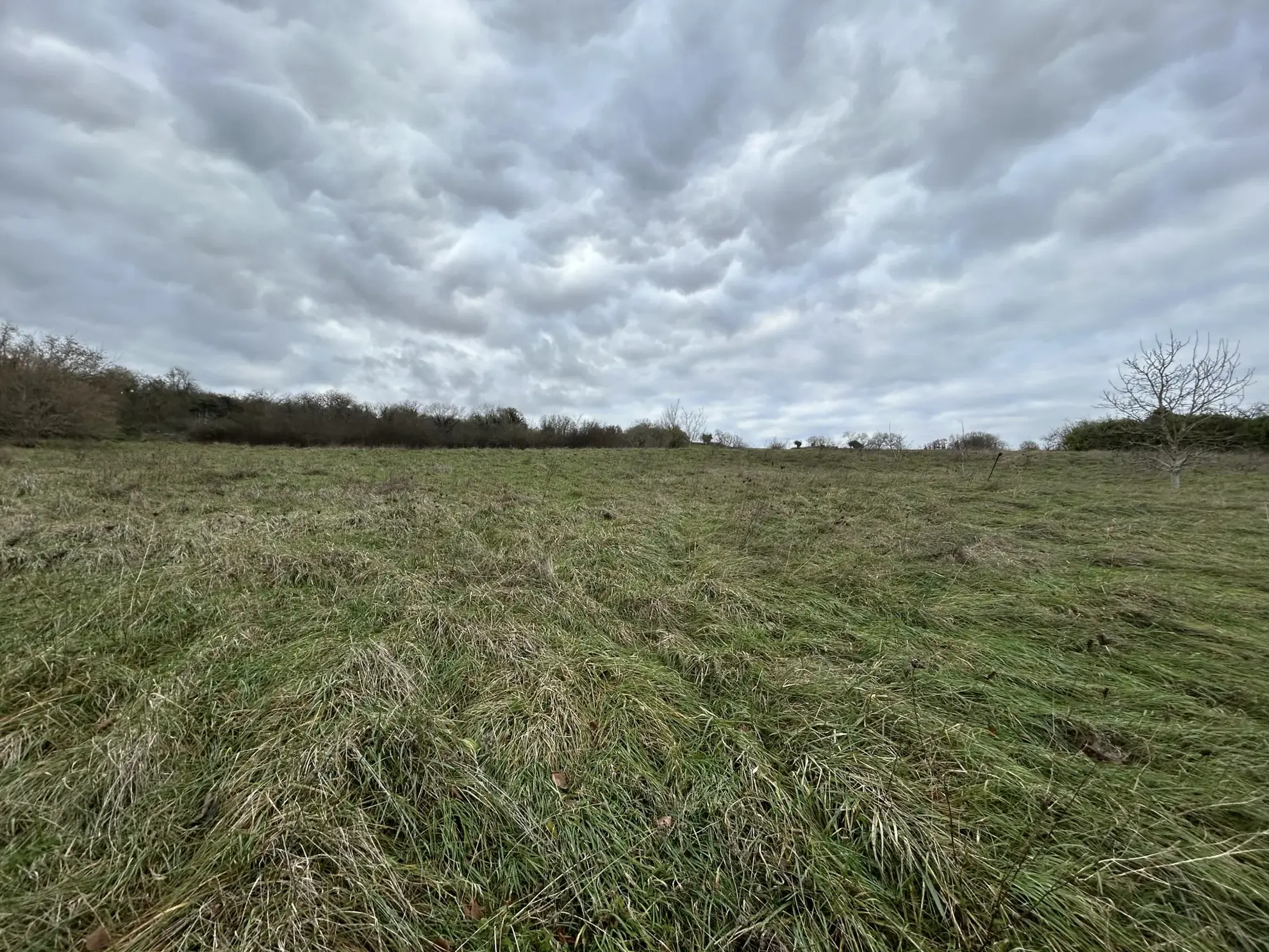 Très belle propriété avec gîte, dépendances et grandes pièces près du Morvan à Varzy 