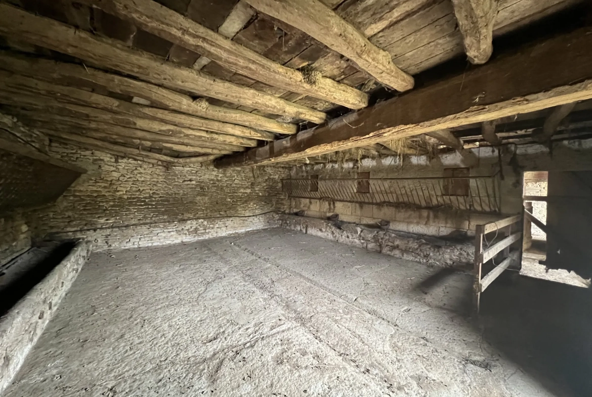 Ancienne grange en pierre à Montbard proche gare TGV — Investissez dans une propriété authentique 