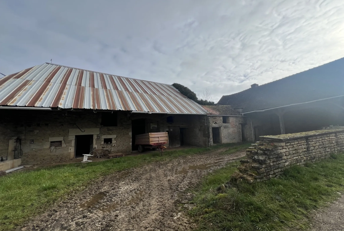 Ancienne grange en pierre à Montbard proche gare TGV — Investissez dans une propriété authentique 