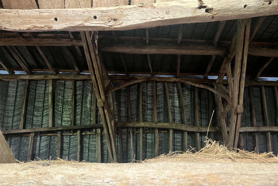 Ancienne grange en pierre à Montbard proche gare TGV — Investissez dans une propriété authentique 