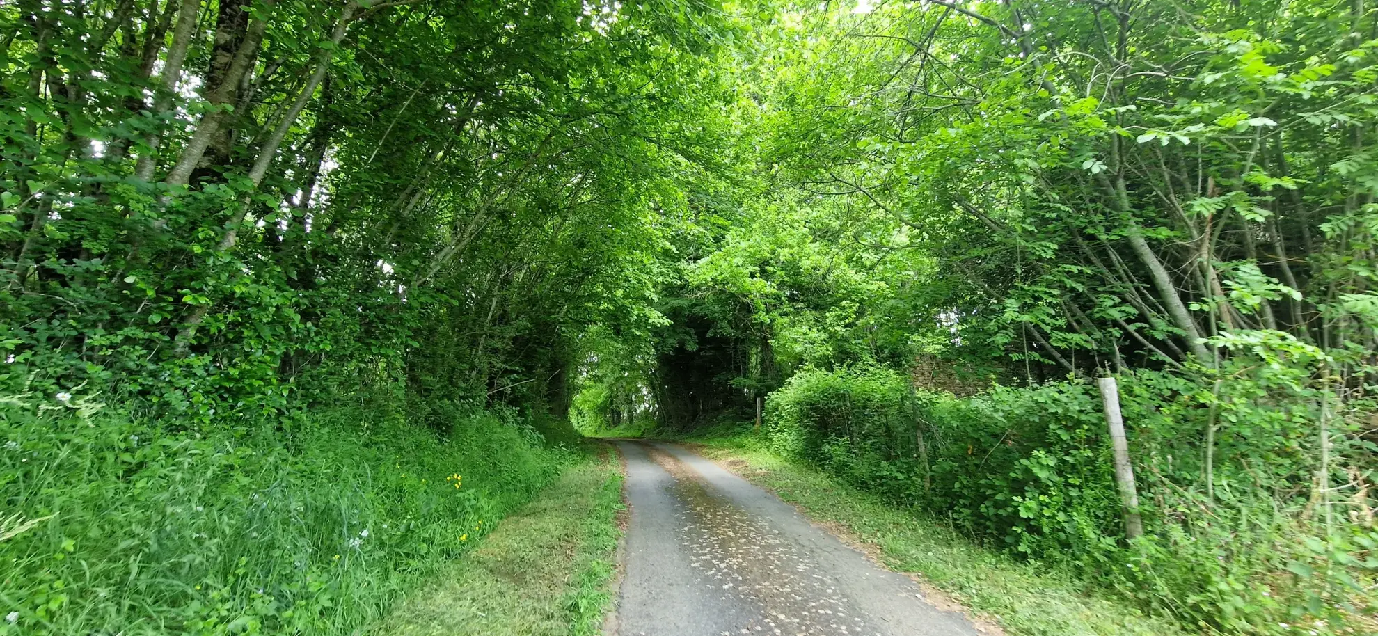 Ensemble en pierres avec maison à rénover et grange à proximité de Pompadour et Lubersac 