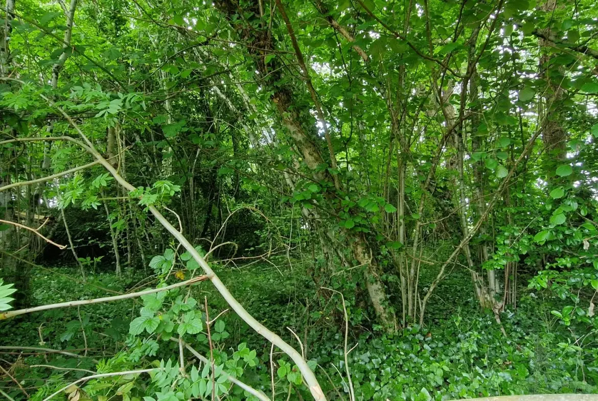 Ensemble en pierres avec maison à rénover et grange à proximité de Pompadour et Lubersac 