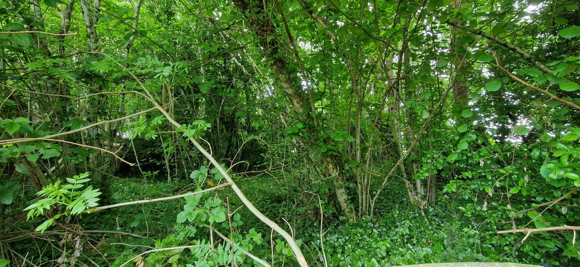 Ensemble en pierres avec maison à rénover et grange à proximité de Pompadour et Lubersac 