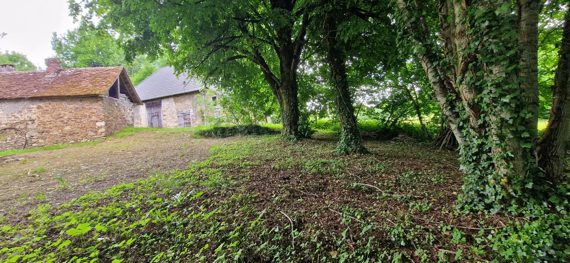 Ensemble en pierres avec maison à rénover et grange à proximité de Pompadour et Lubersac 