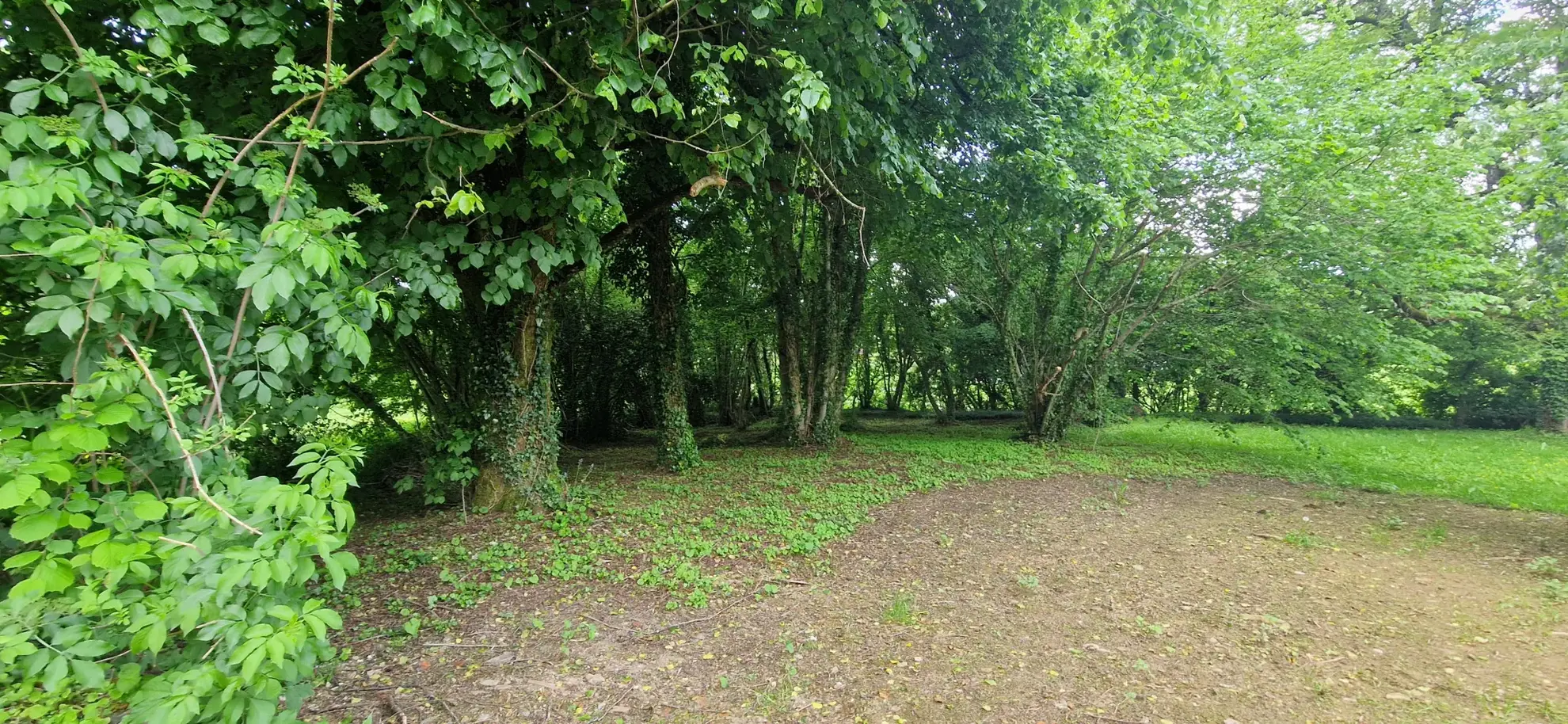 Ensemble en pierres avec maison à rénover et grange à proximité de Pompadour et Lubersac 