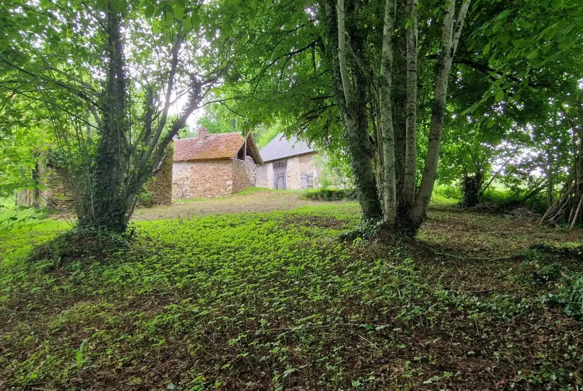 Ensemble en pierres avec maison à rénover et grange à proximité de Pompadour et Lubersac 