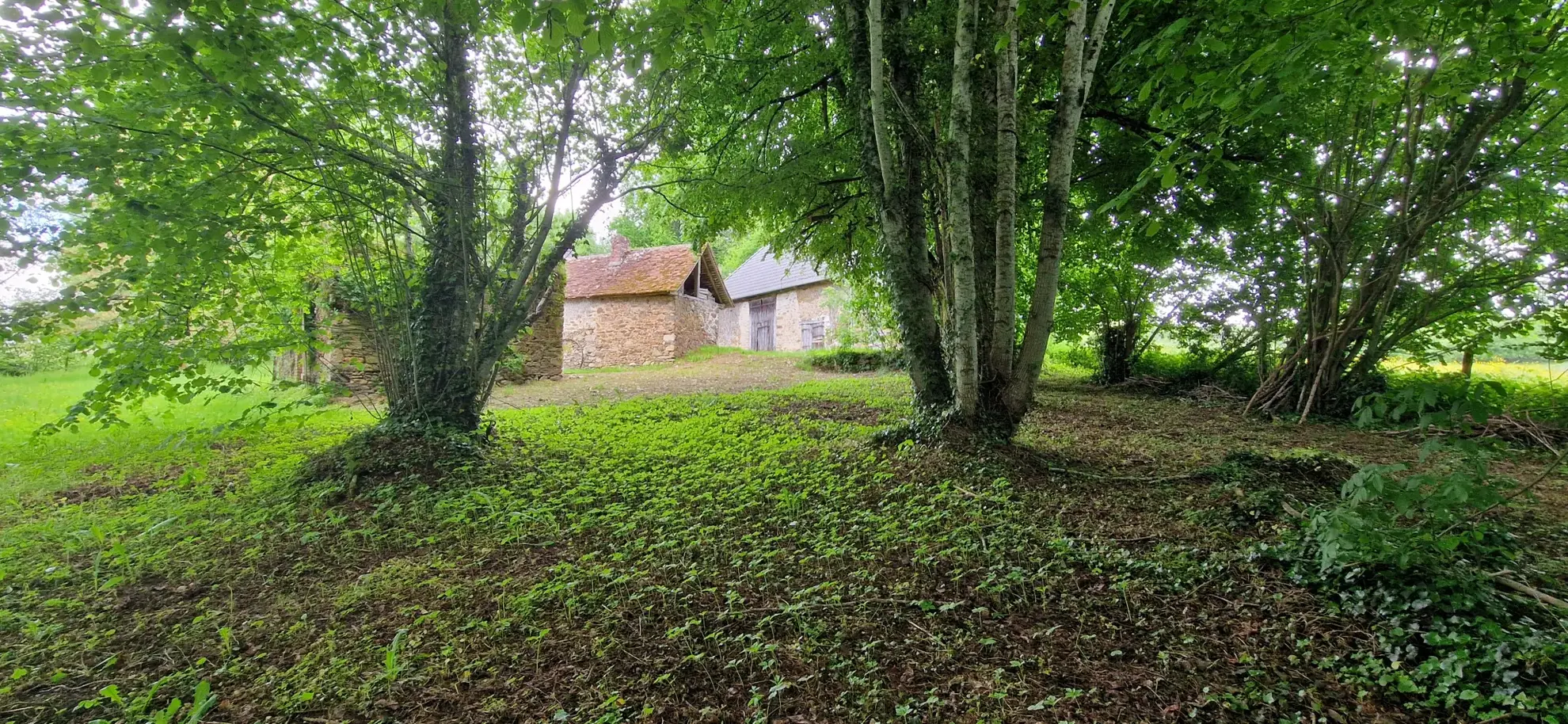Ensemble en pierres avec maison à rénover et grange à proximité de Pompadour et Lubersac 