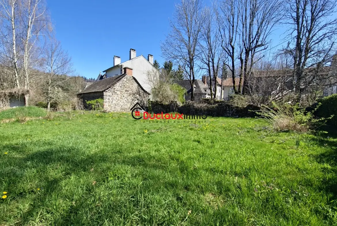 Maison ancienne en pierre avec gîte et dépendance à Marmanhac près d'Aurillac 