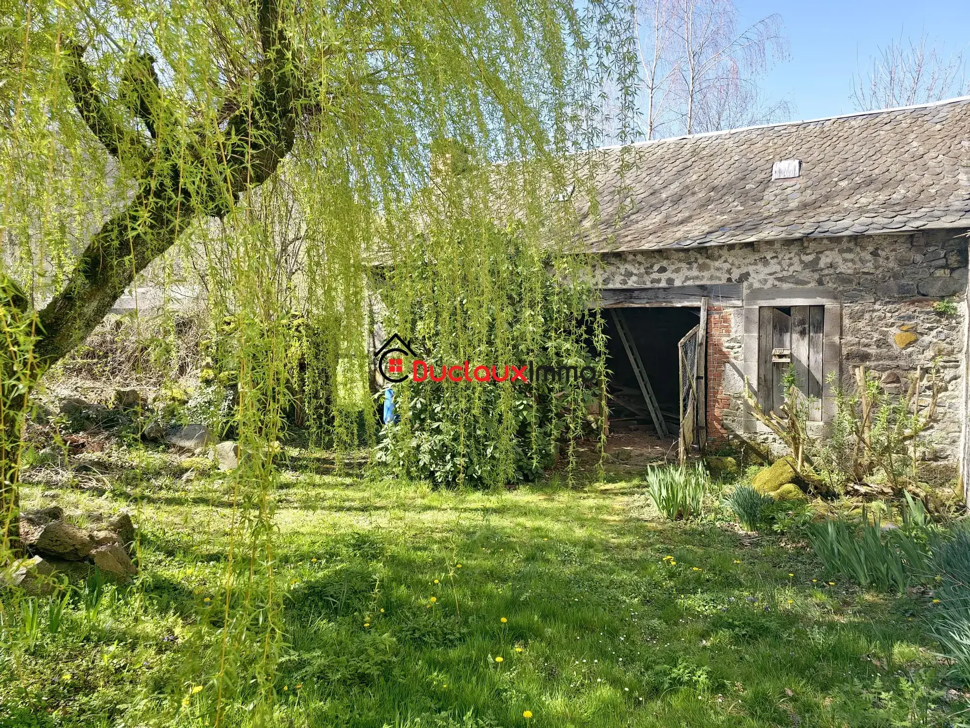 Maison ancienne en pierre avec gîte et dépendance à Marmanhac près d'Aurillac 