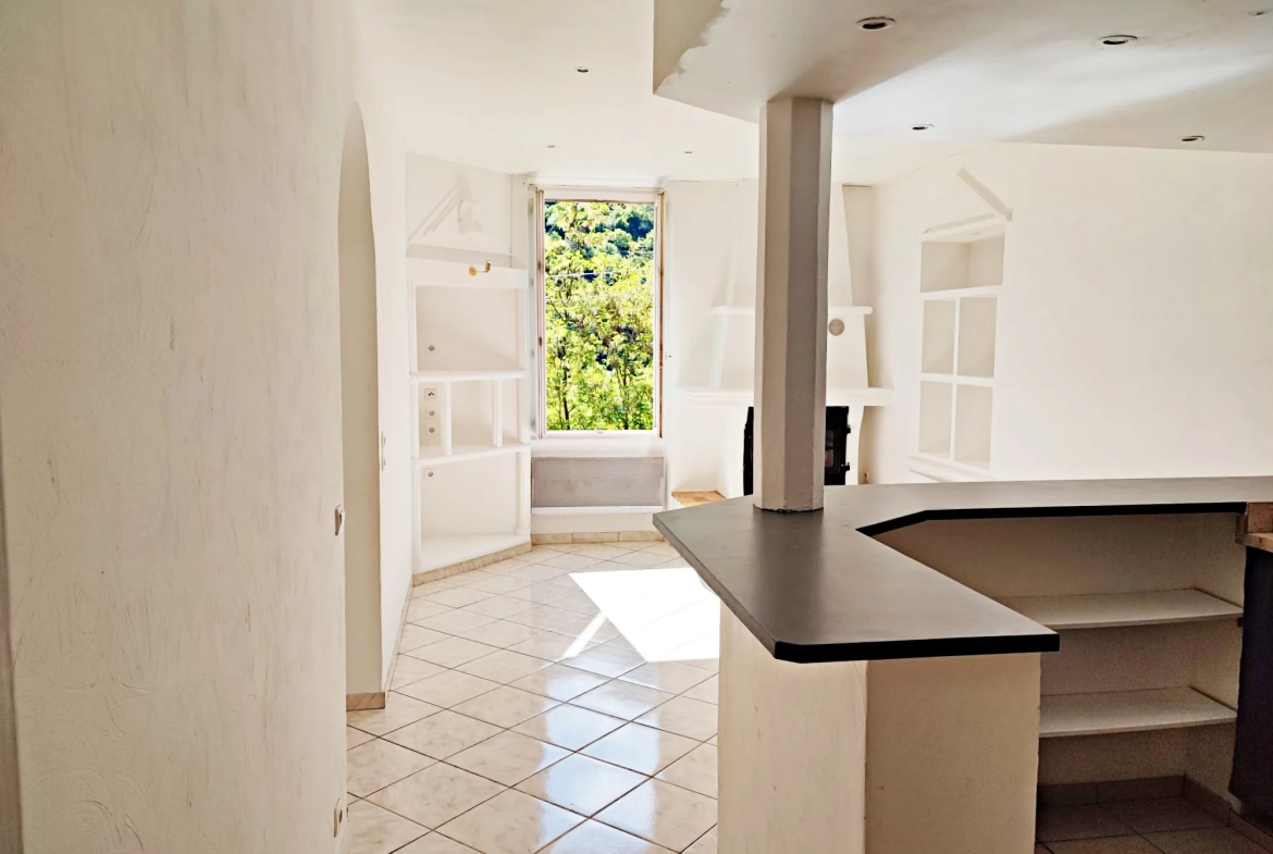 Appartement lumineux de 55 m² à Lantosque avec vue montagne 