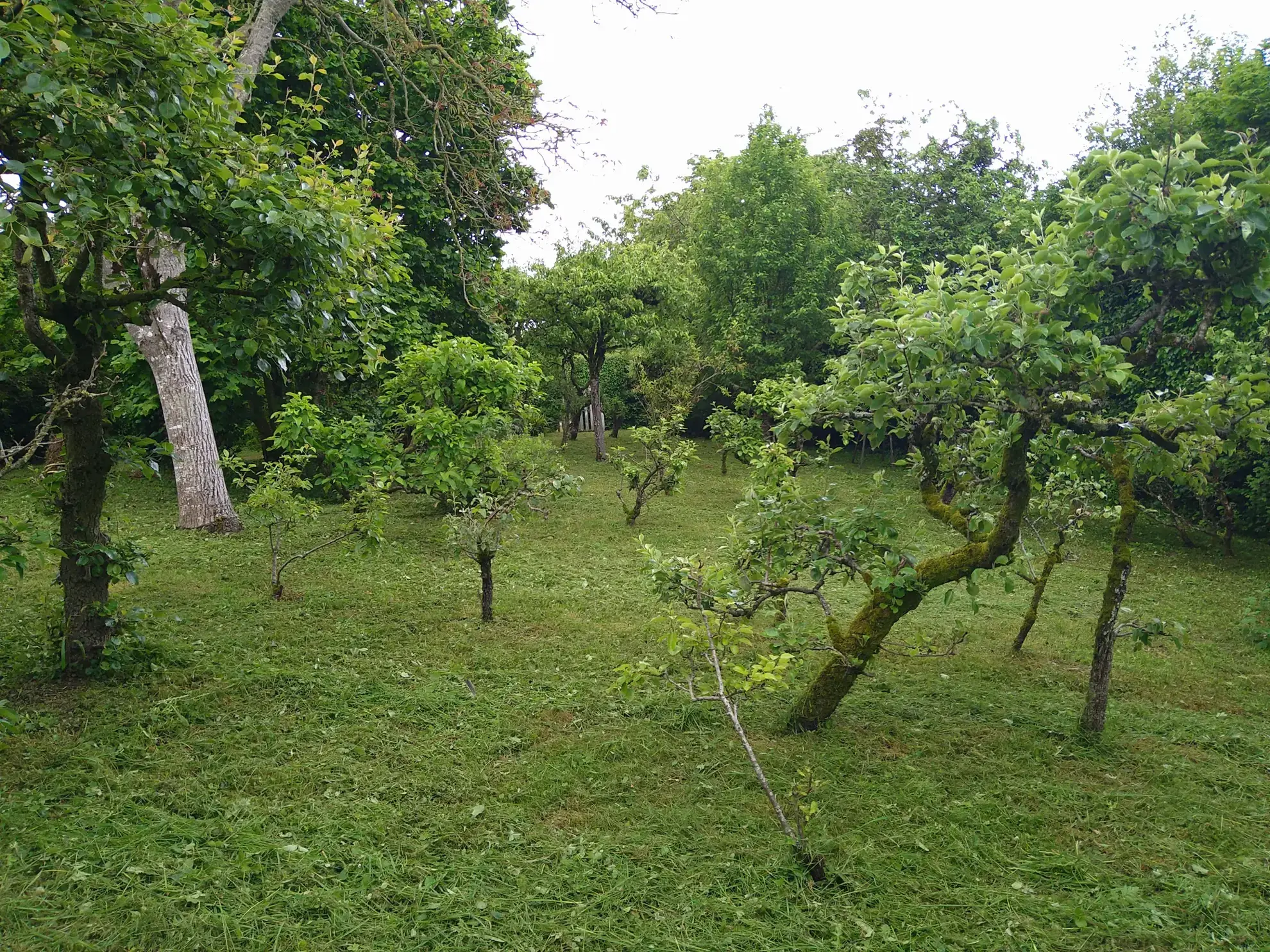 Terrain de loisir de 755 m² avec maisonette à Souge le Ganelon en vente 