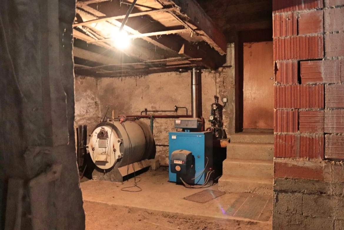 Ancienne ferme viticole à Caplong avec dépendances et terrain de 6095 m² 