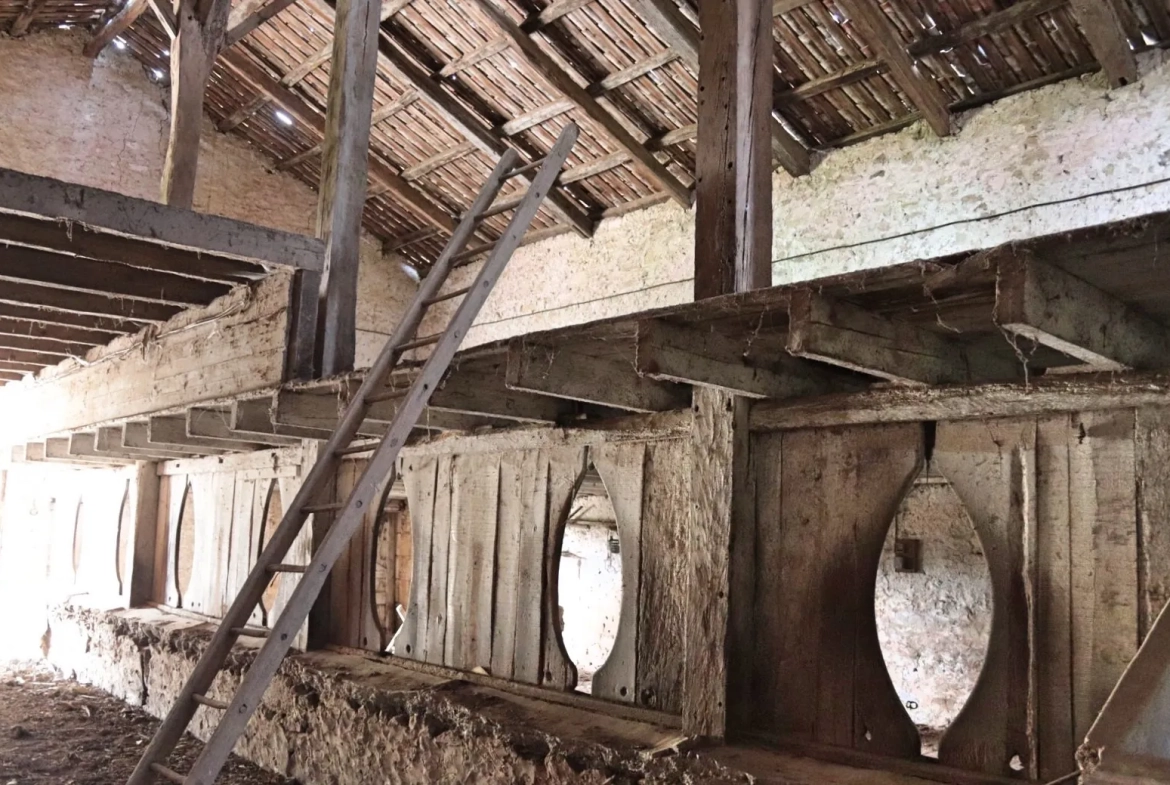 Ancienne ferme viticole à Caplong avec dépendances et terrain de 6095 m² 