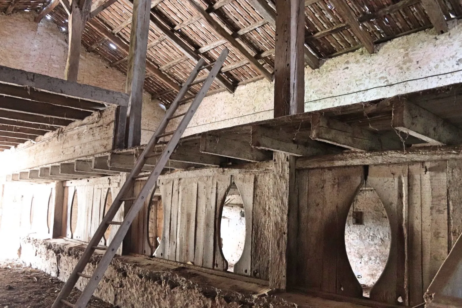 Ancienne ferme viticole à Caplong avec dépendances et terrain de 6095 m² 