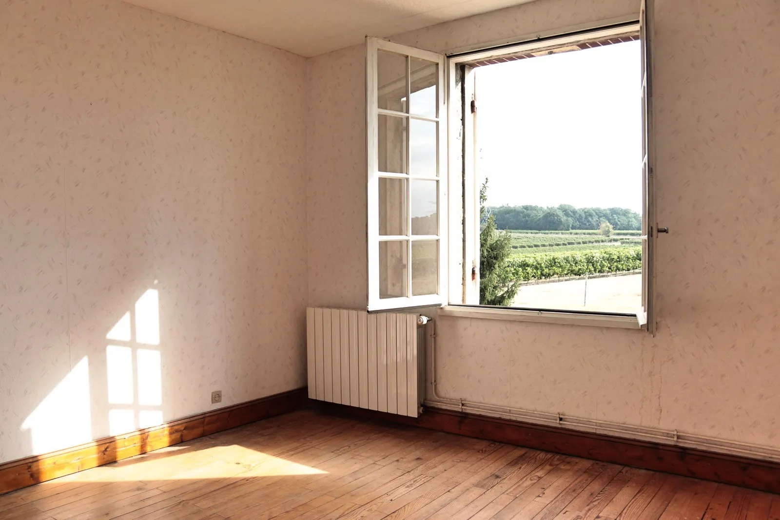 Ancienne ferme viticole à Caplong avec dépendances et terrain de 6095 m² 