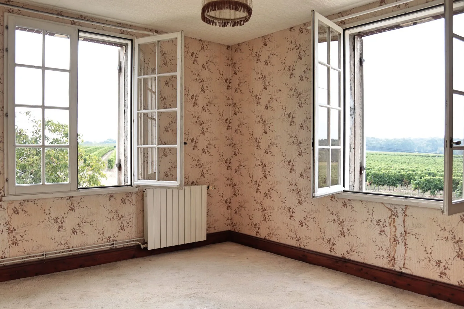 Ancienne ferme viticole à Caplong avec dépendances et terrain de 6095 m² 