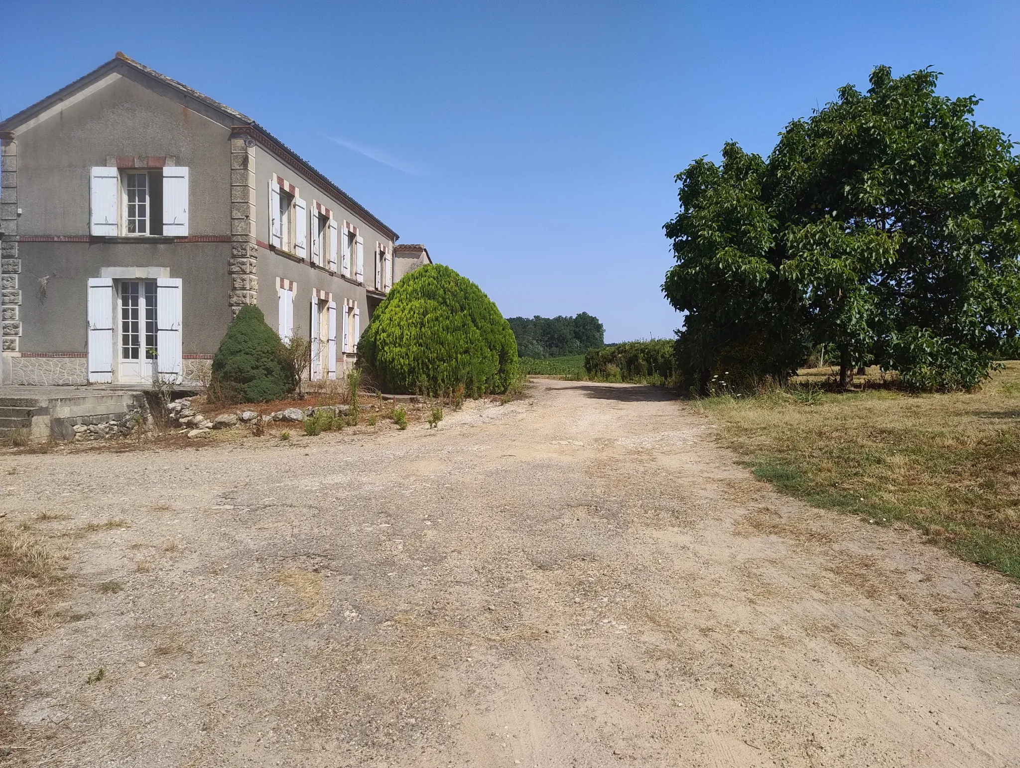 Ancienne ferme viticole à Caplong avec dépendances et terrain de 6095 m² 
