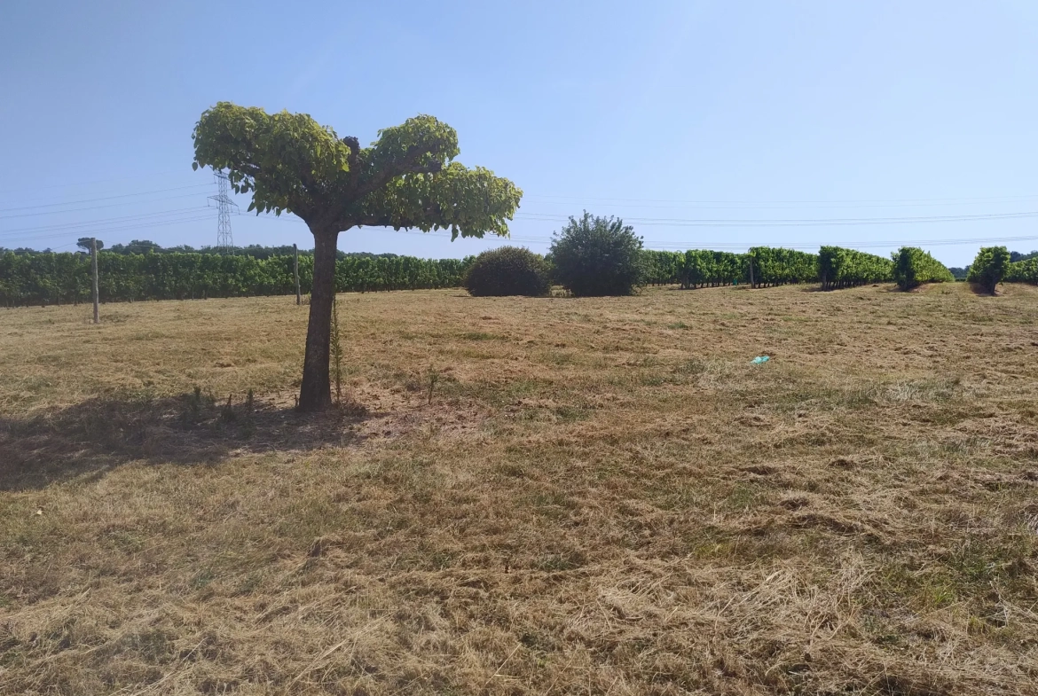 Ancienne ferme viticole à Caplong avec dépendances et terrain de 6095 m² 