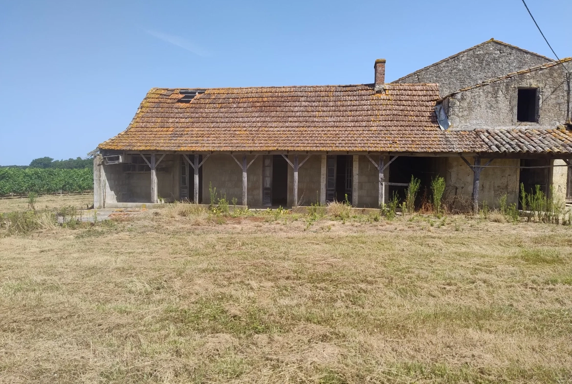 Ancienne ferme viticole à Caplong avec dépendances et terrain de 6095 m² 