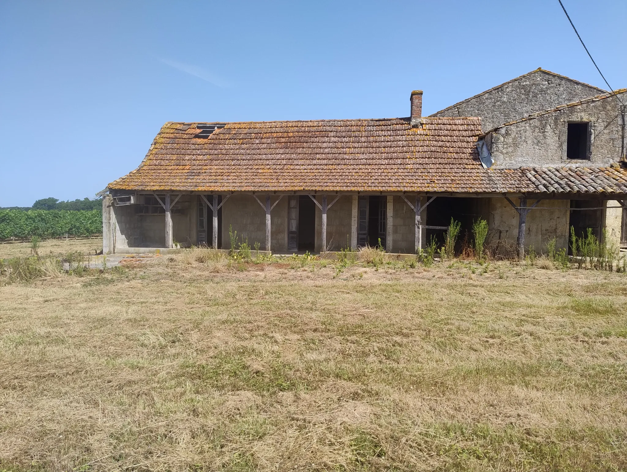 Ancienne ferme viticole à Caplong avec dépendances et terrain de 6095 m² 