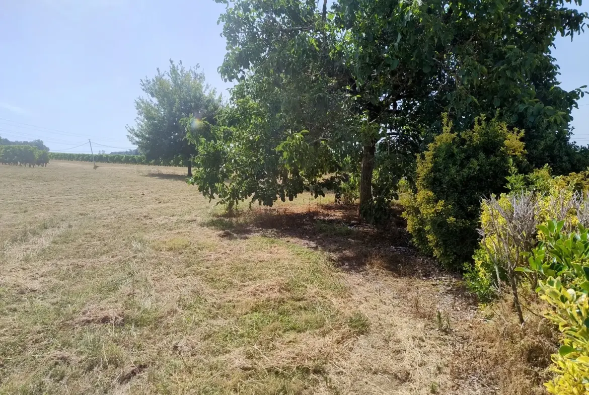 Ancienne ferme viticole à Caplong avec dépendances et terrain de 6095 m² 