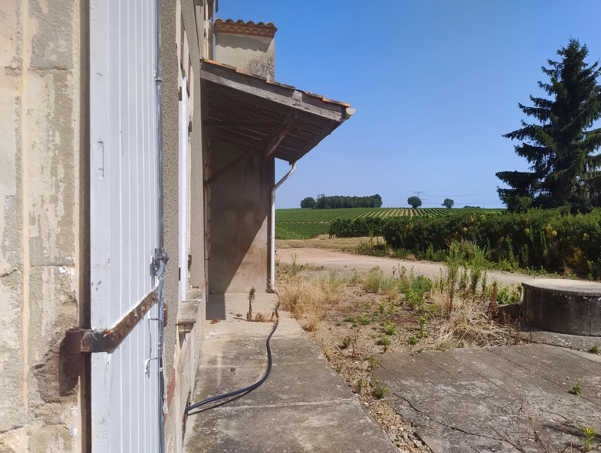 Ancienne ferme viticole à Caplong avec dépendances et terrain de 6095 m² 