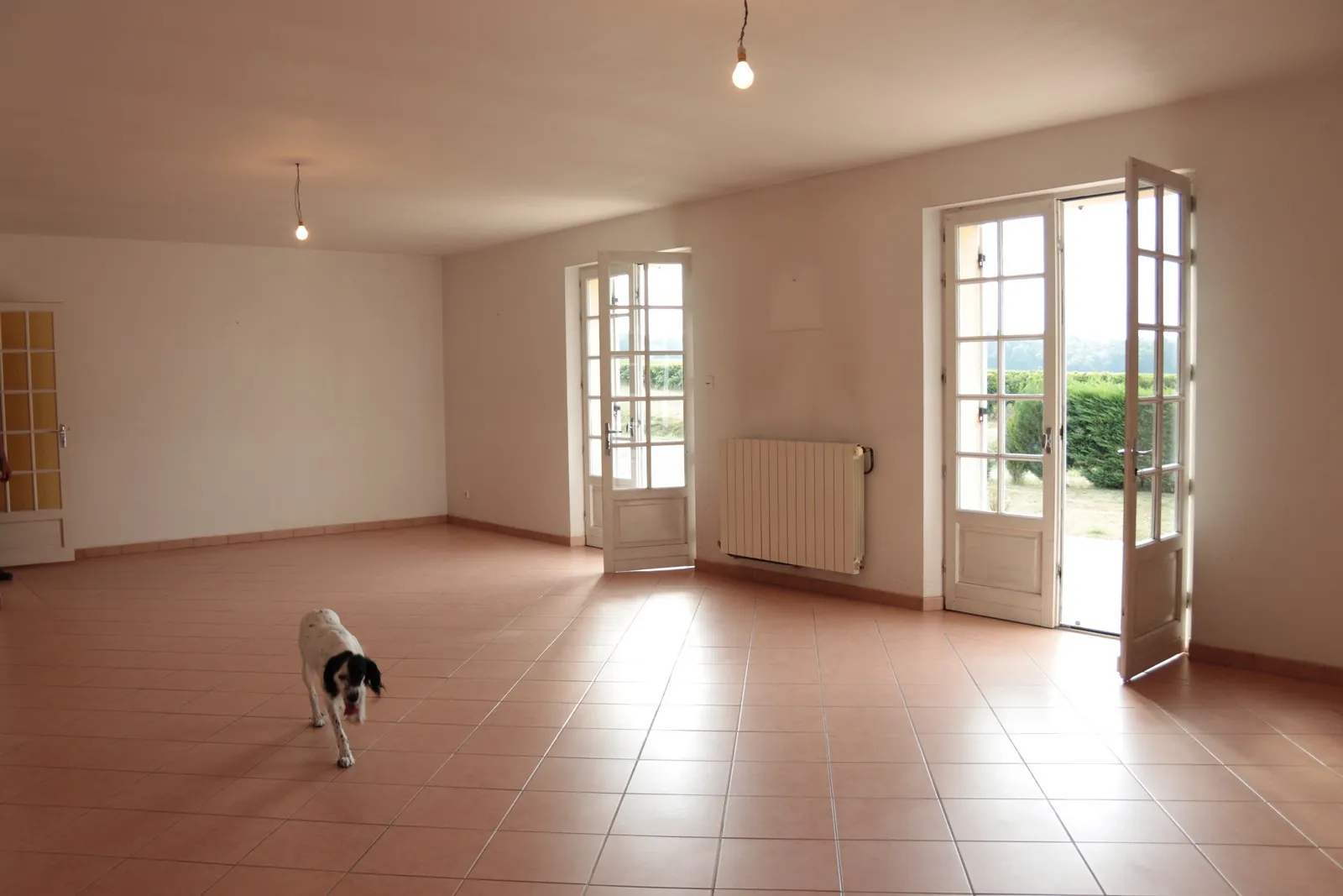 Ancienne ferme viticole à Caplong avec dépendances et terrain de 6095 m² 
