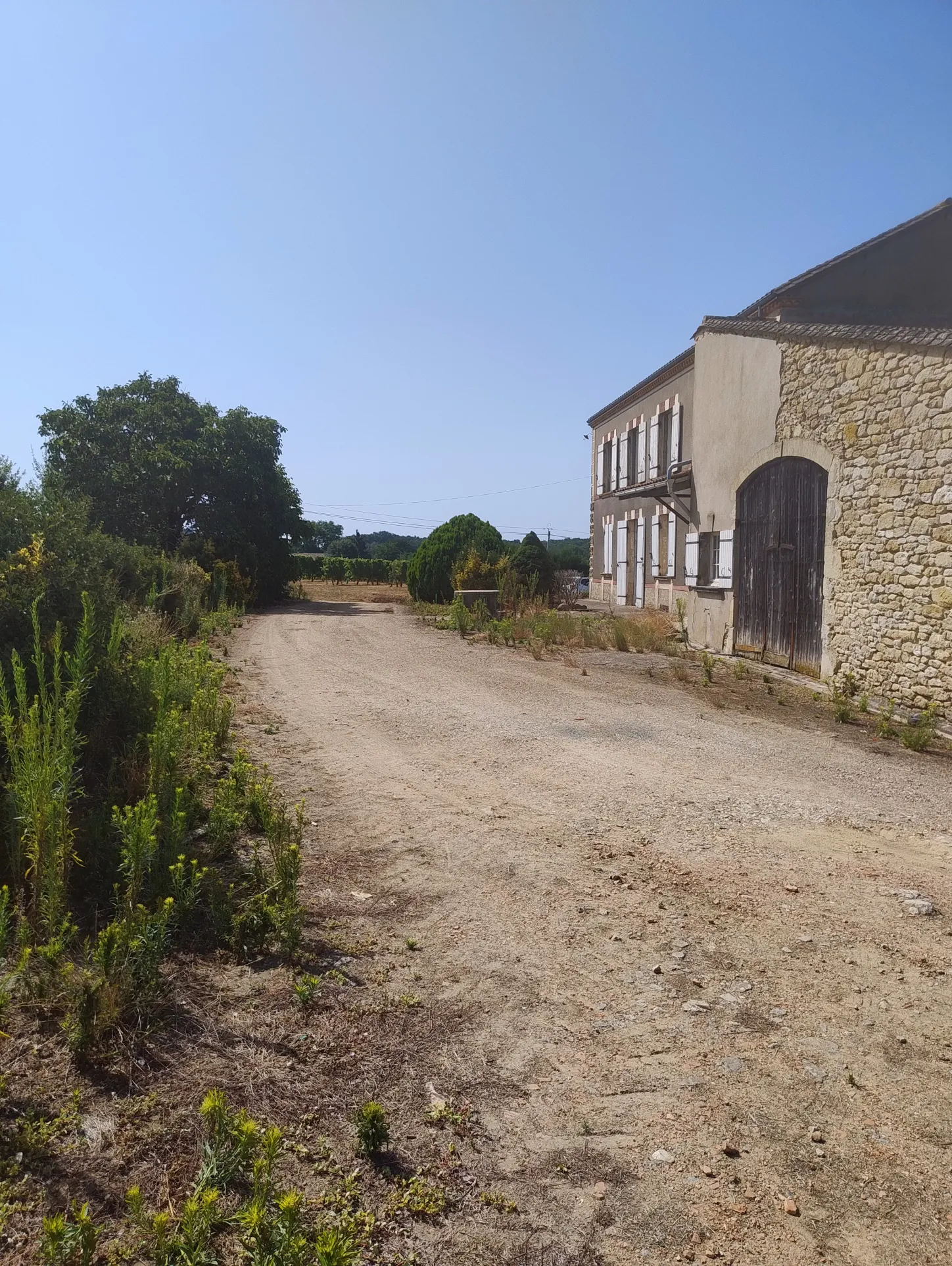 Ancienne ferme viticole à Caplong avec dépendances et terrain de 6095 m² 