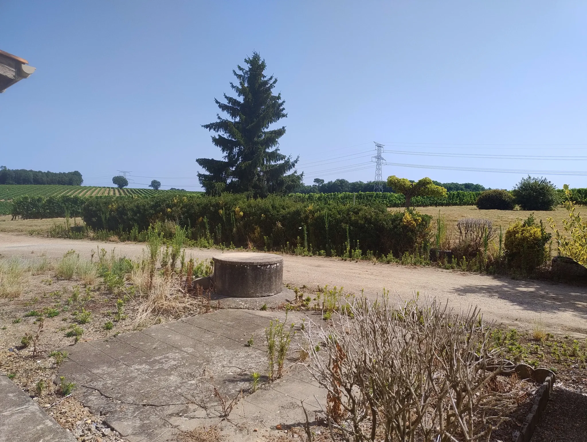 Ancienne ferme viticole à Caplong avec dépendances et terrain de 6095 m² 