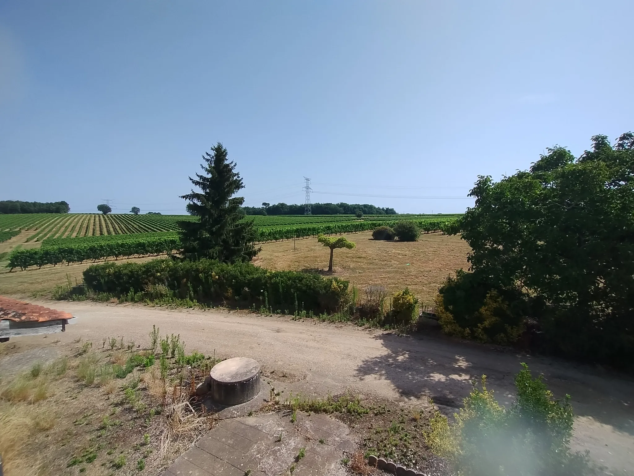 Ancienne ferme viticole à Caplong avec dépendances et terrain de 6095 m² 