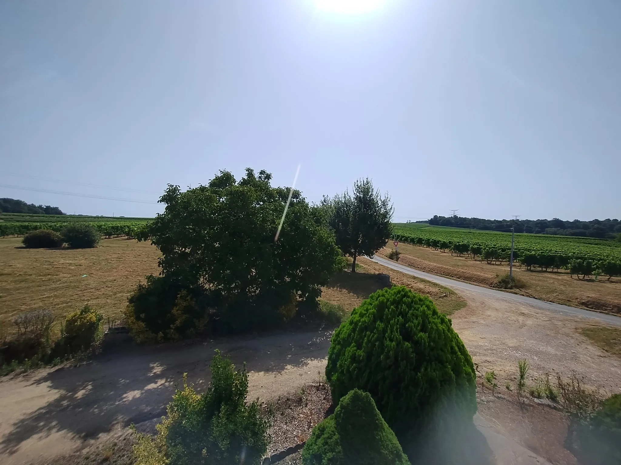 Ancienne ferme viticole à Caplong avec dépendances et terrain de 6095 m² 