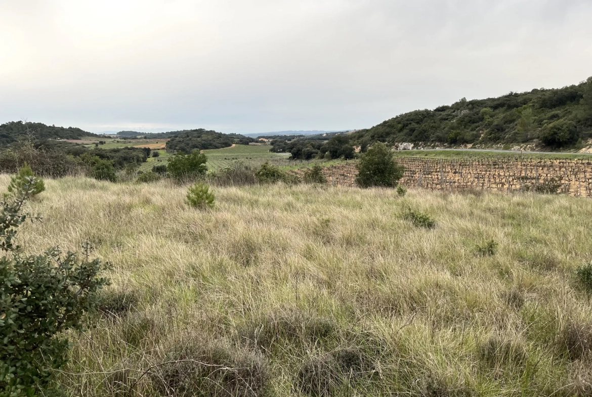 Terrain agricole et de loisirs à vendre entre Saint-Chinian et Assignan - 9590 m² 