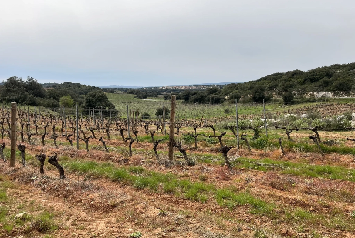 Terrain agricole et de loisirs à vendre entre Saint-Chinian et Assignan - 9590 m² 