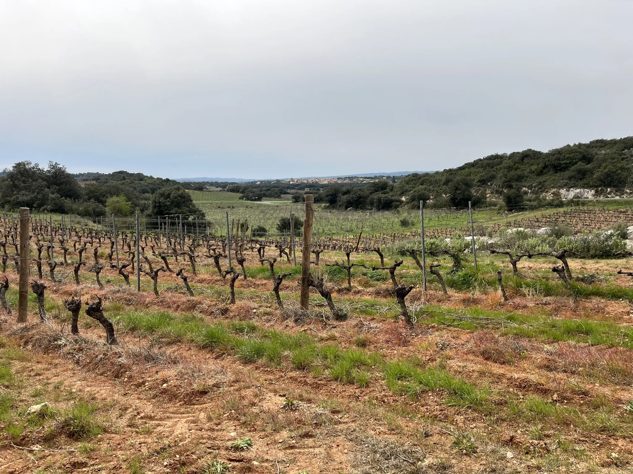Terrain agricole et de loisirs à vendre entre Saint-Chinian et Assignan - 9590 m² 