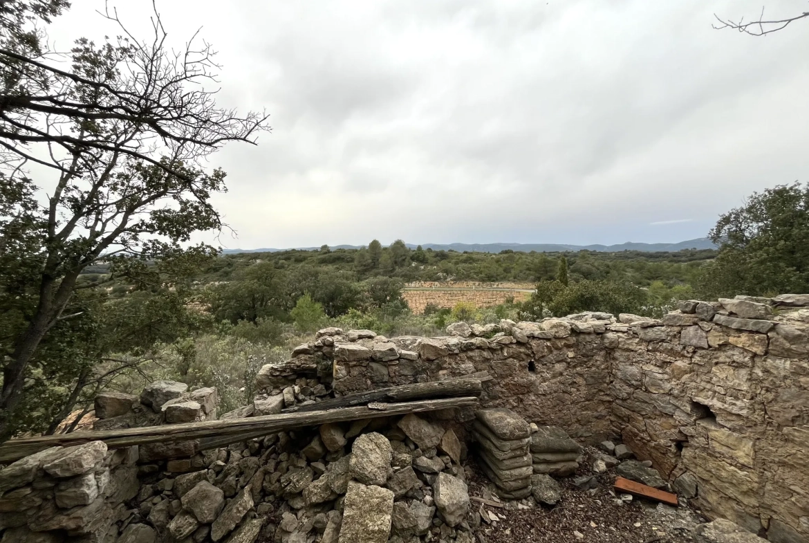 Terrain agricole et de loisirs à vendre entre Saint-Chinian et Assignan - 9590 m² 