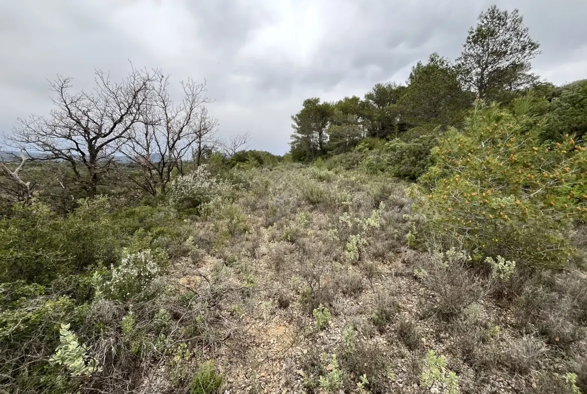Terrain agricole et de loisirs à vendre entre Saint-Chinian et Assignan - 9590 m² 
