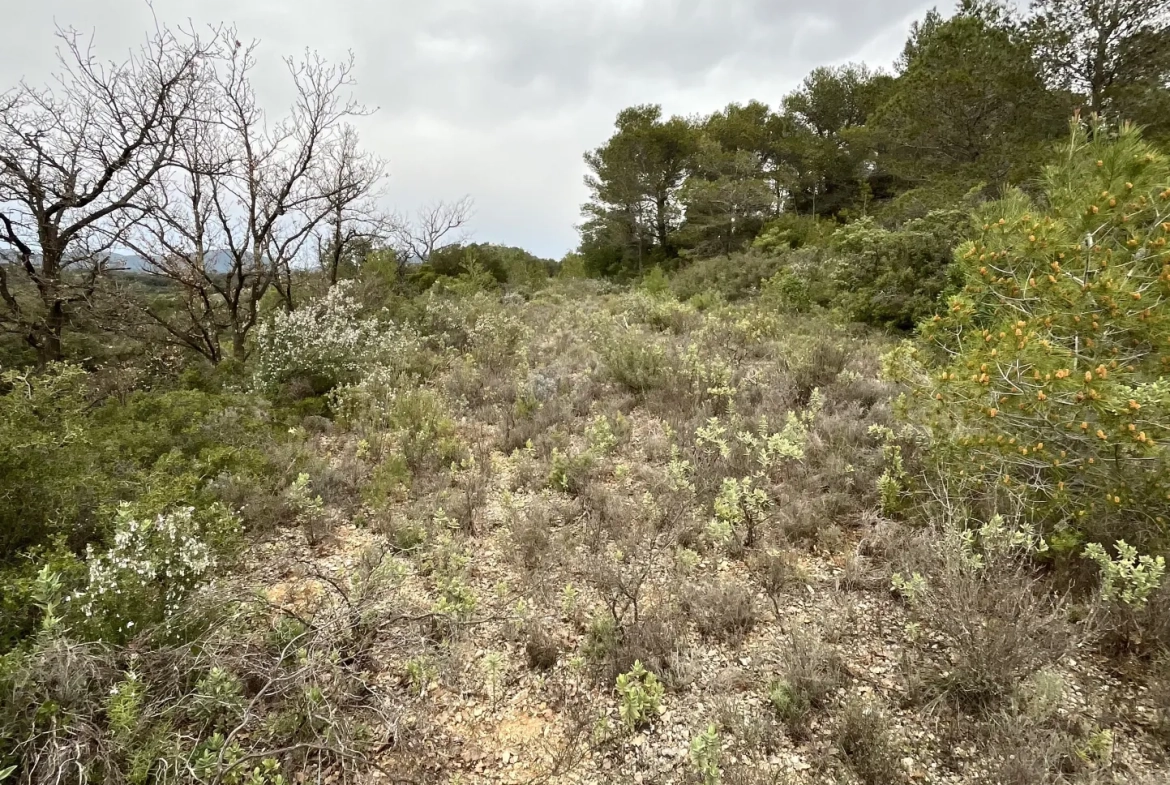 Terrain agricole et de loisirs à vendre entre Saint-Chinian et Assignan - 9590 m² 