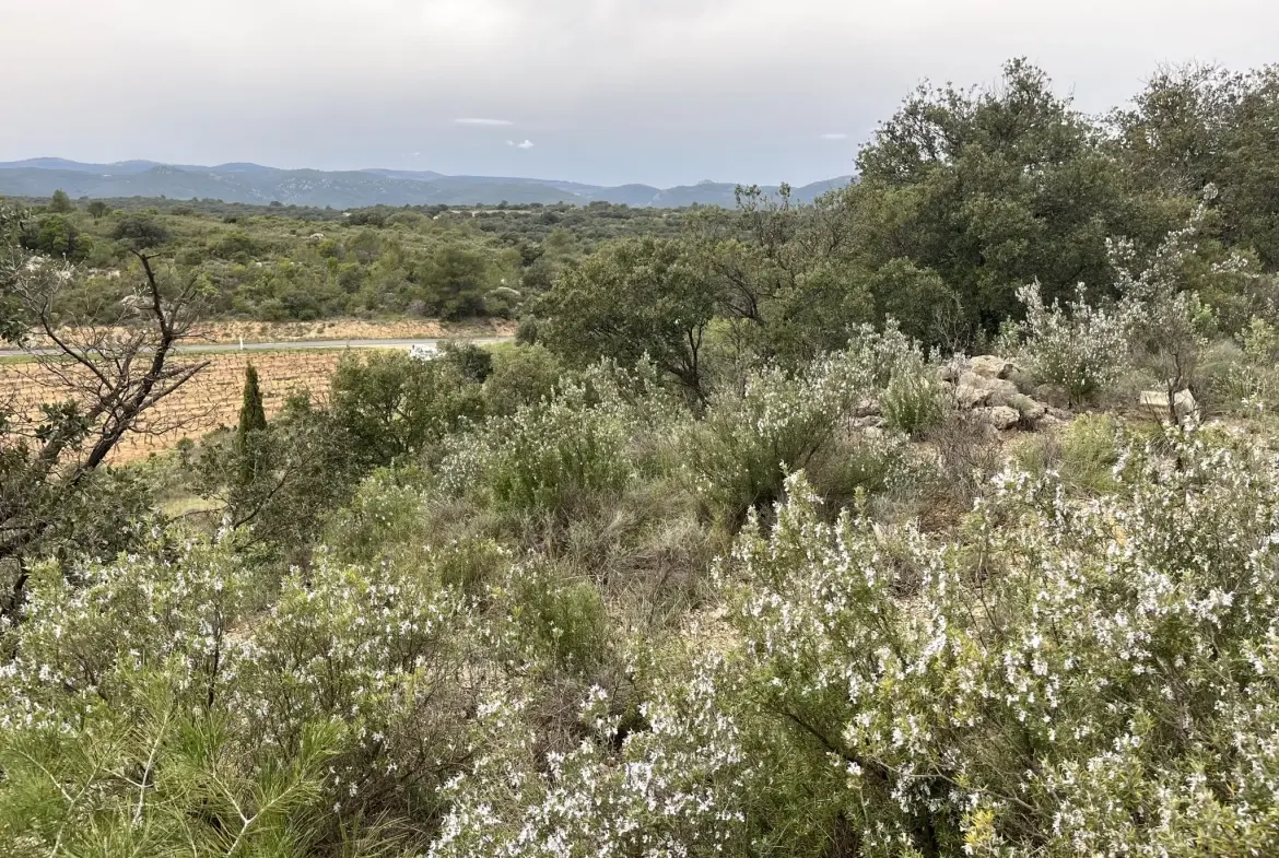 Terrain agricole et de loisirs à vendre entre Saint-Chinian et Assignan - 9590 m² 