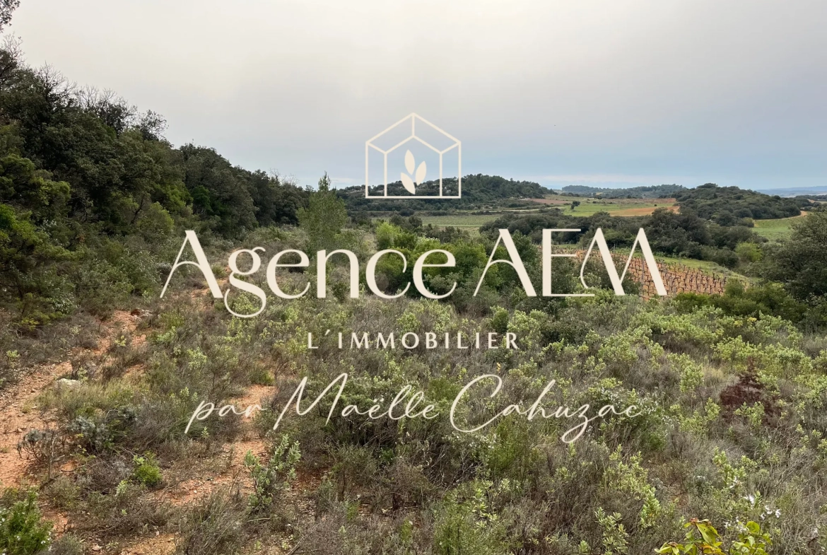 Terrain agricole et de loisirs à vendre entre Saint-Chinian et Assignan - 9590 m² 