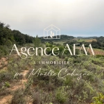 Terrain agricole et de loisirs à vendre entre Saint-Chinian et Assignan - 9590 m²
