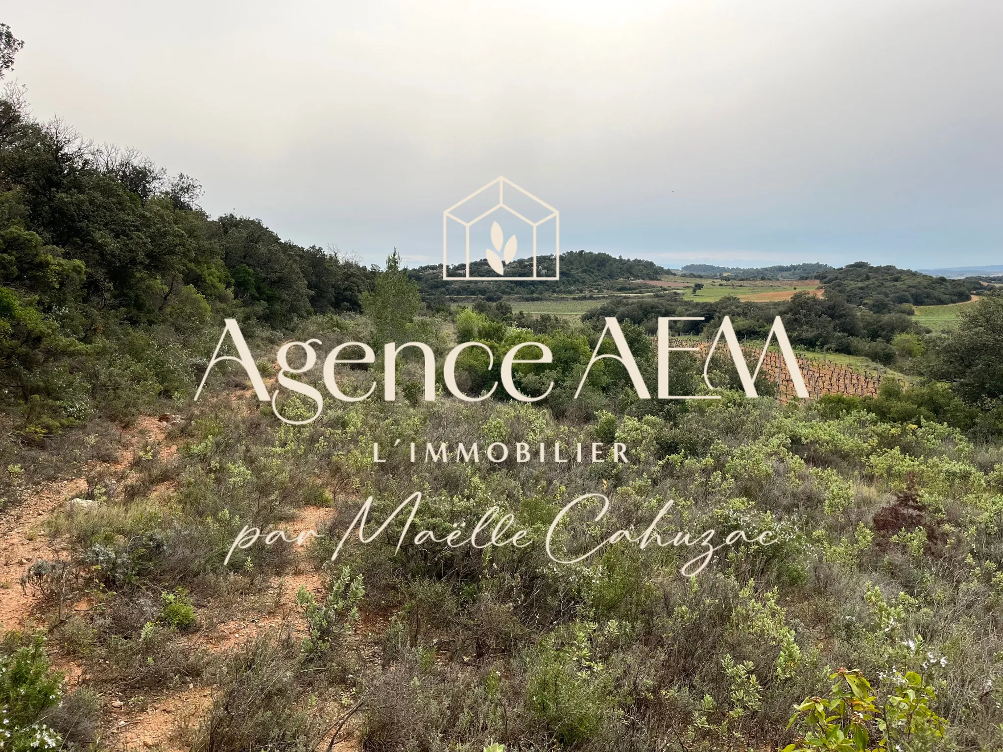 Terrain agricole et de loisirs à vendre entre Saint-Chinian et Assignan - 9590 m² 