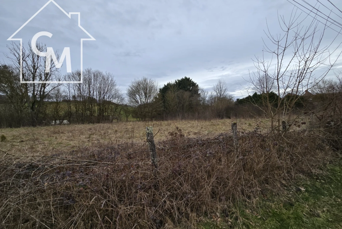 Maison avec dépendances et jardin à vendre à Fournaudin 