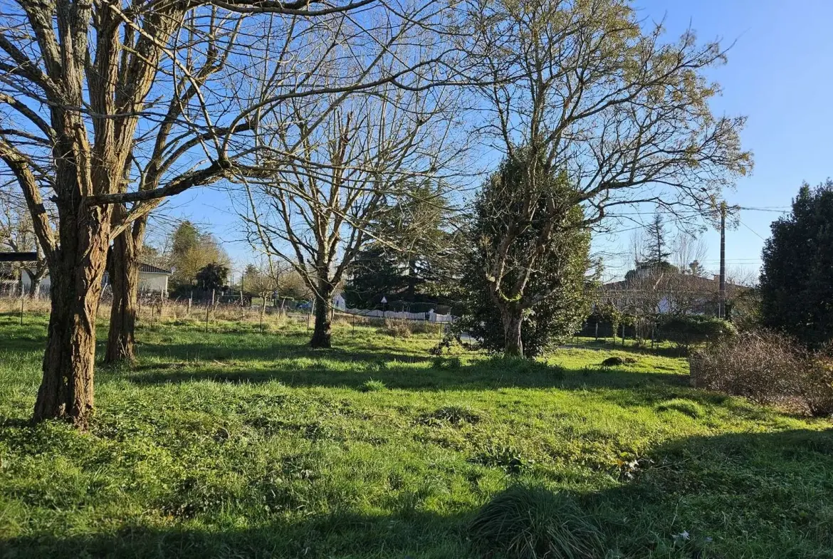 Maison en pierre de 98 m² avec terrain à Lavardac (47) - 3 chambres, garage et vie de plain-pied 