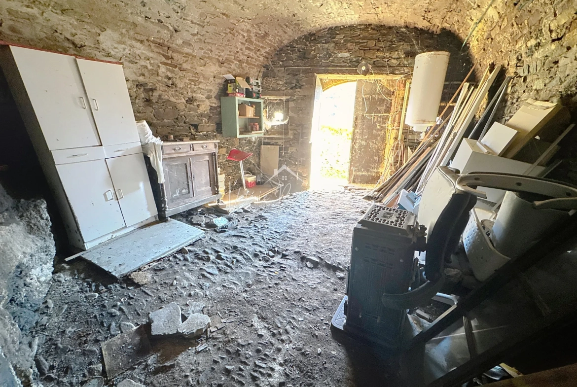 Maison en pierres avec terrasse et vue dégagée à Saint-Sernin-sur-Rance - 3 pièces 