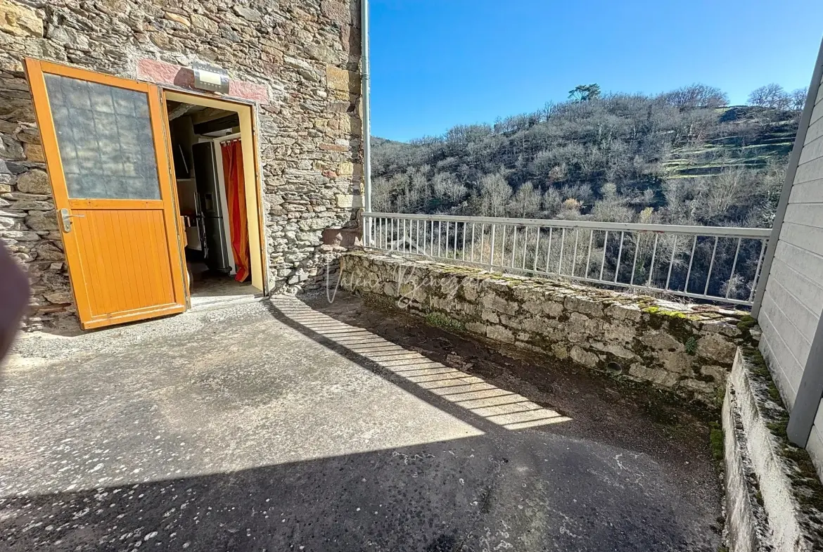 Maison en pierres avec terrasse et vue dégagée à Saint-Sernin-sur-Rance - 3 pièces 